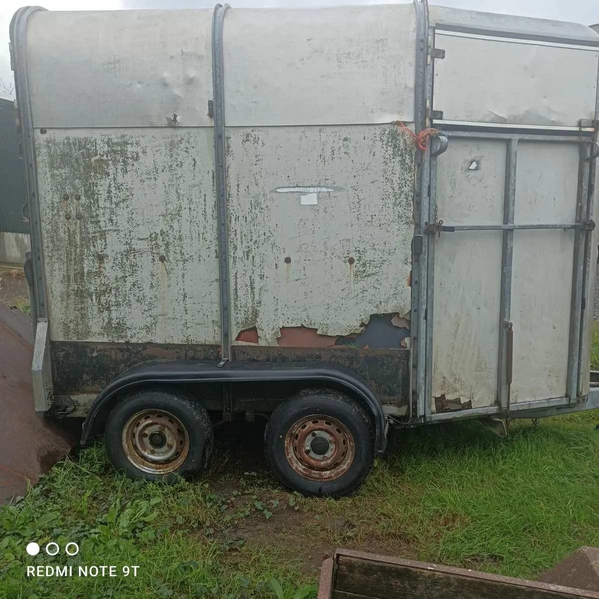 Ivor Williams horse box for sale - Image 3