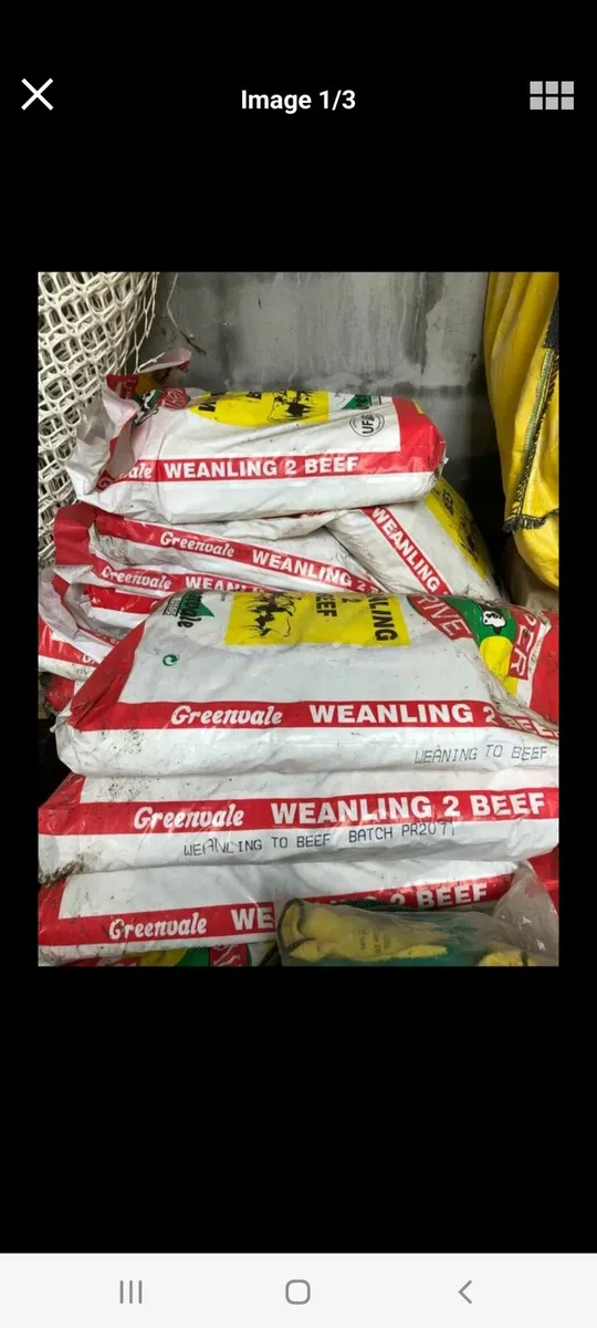 Meal bags - Image 3