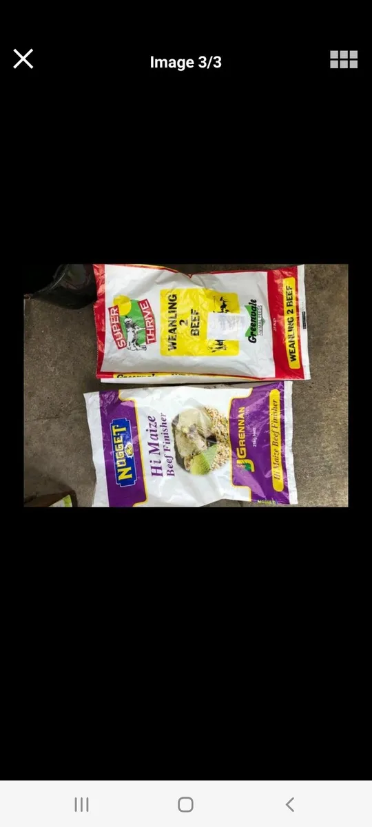 Meal bags - Image 4