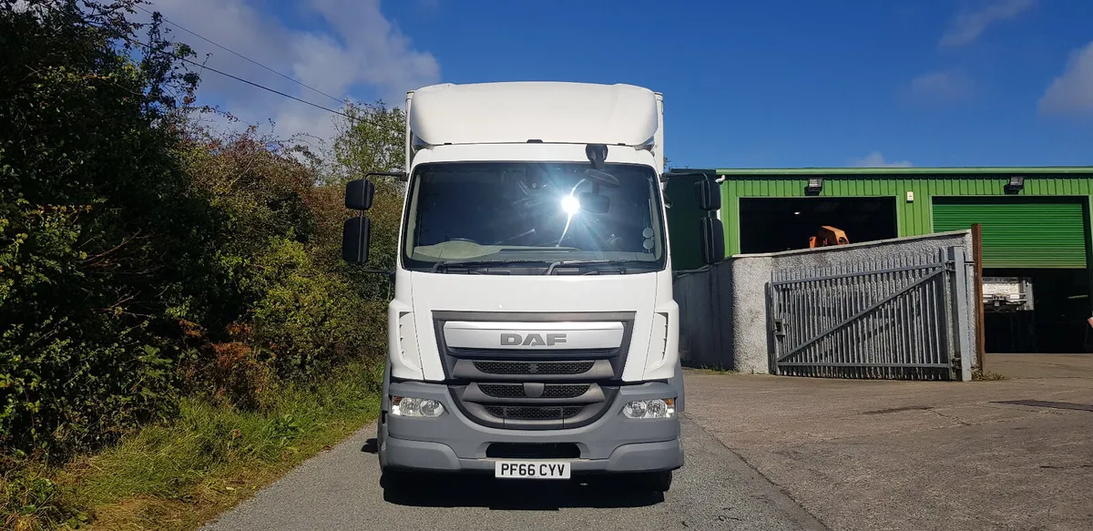 2017 Daf LF 250  , Curtain Side ,Euro 6 , - Image 3