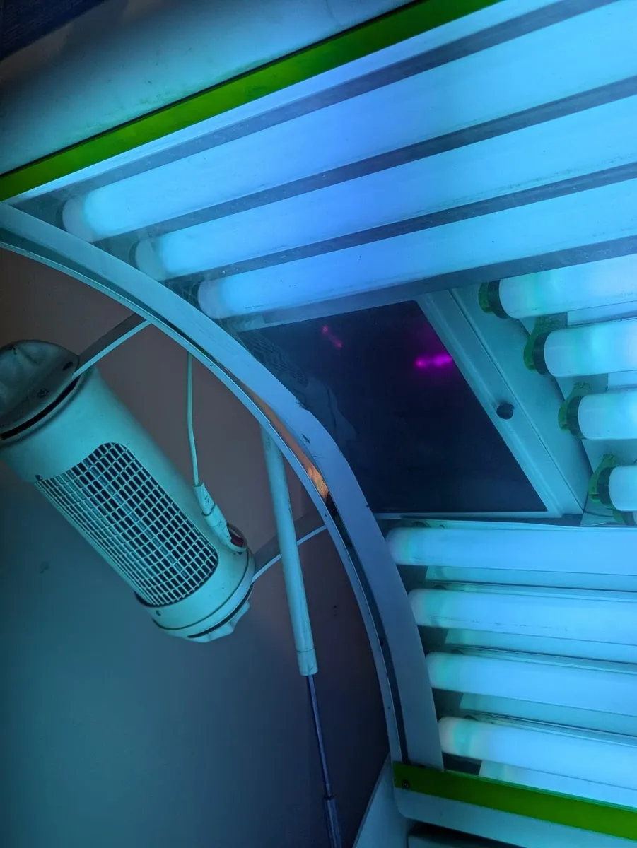 Sunbed - Image 4