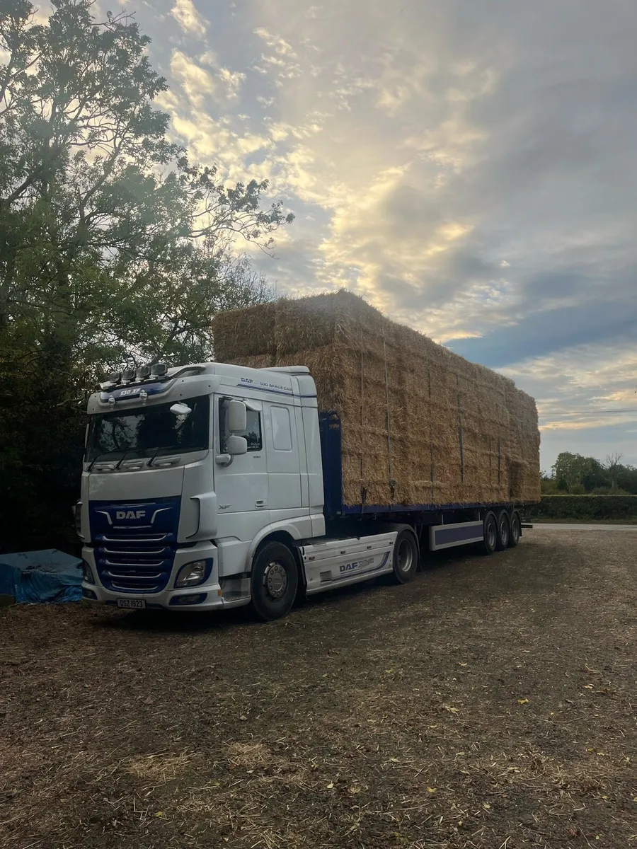8/4/3 bales of barley straw and wheat. - Image 2