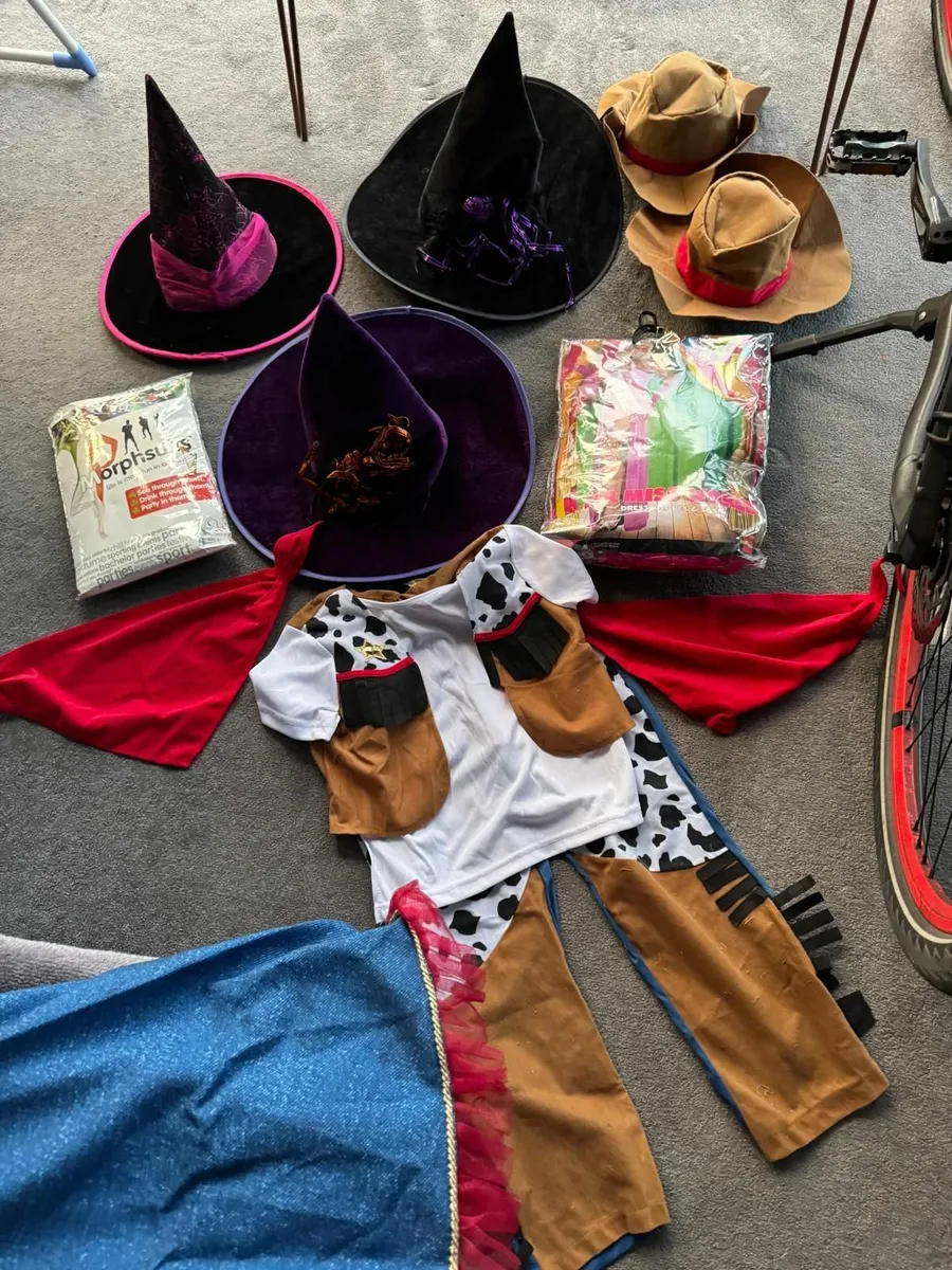 Halloween Costumes and Accessories for sale in Co. Dublin for €999 on