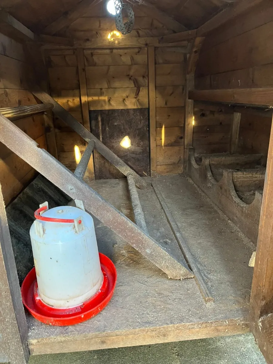 Chicken coop for sale in Co. Tyrone for £165 on DoneDeal