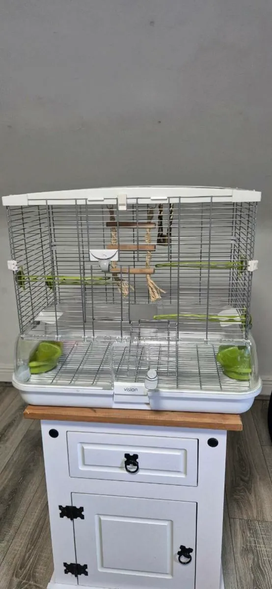 Bird cages and Parrot Play Stand for sale in Co. Cork for €60 on DoneDeal