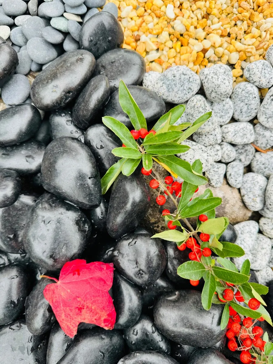 Grave pebbles and chippings - Image 1