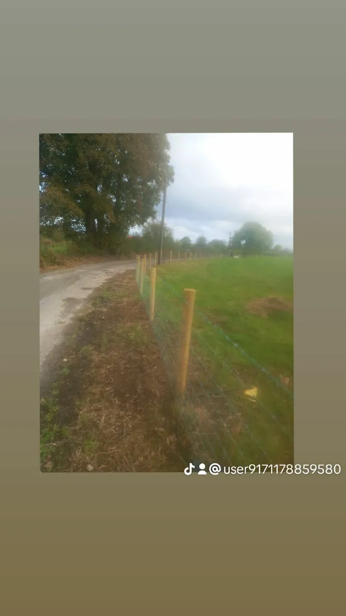 Fencing Contractor - Image 1