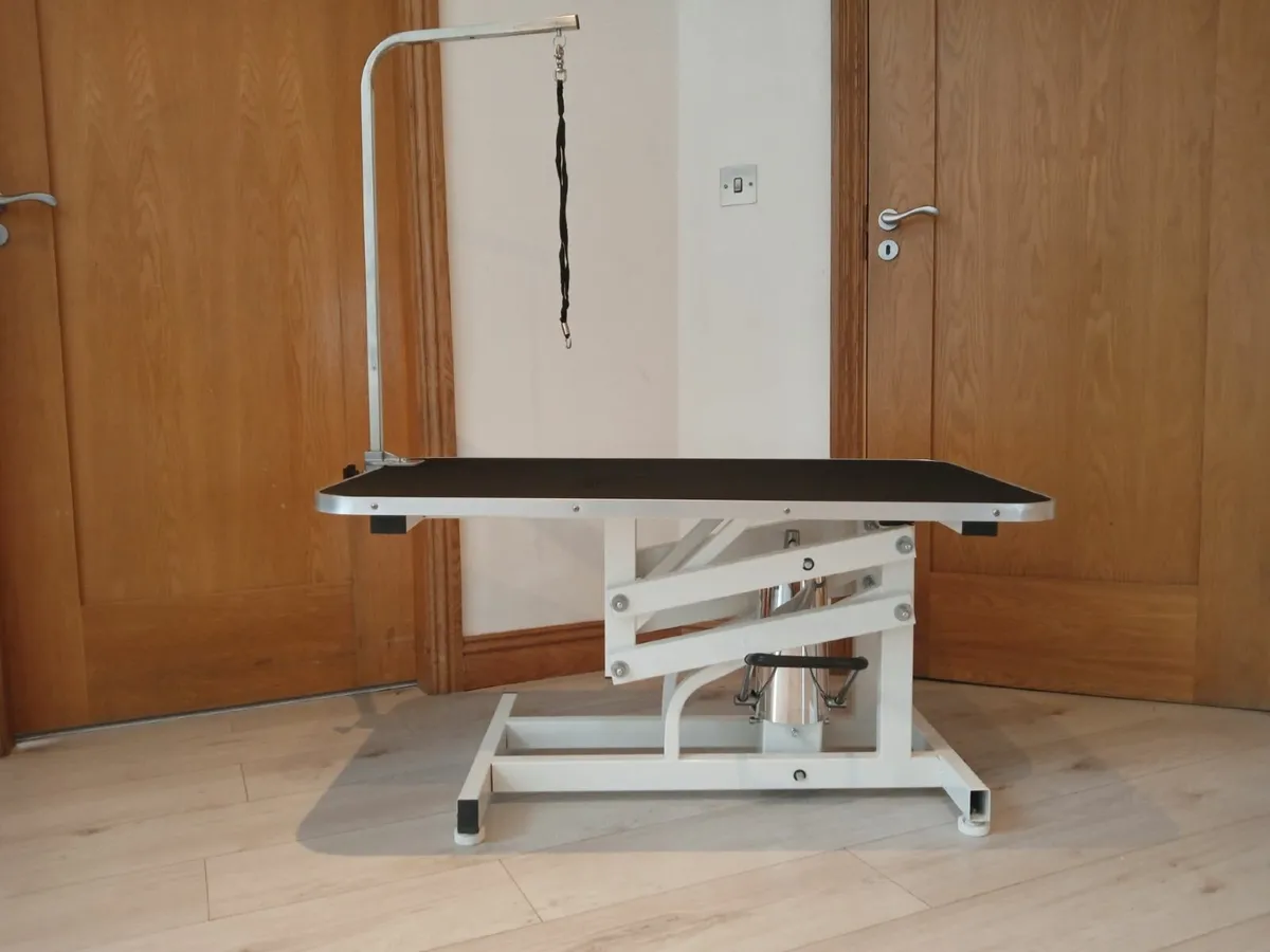 Hydraulic dog grooming table for sale best sale