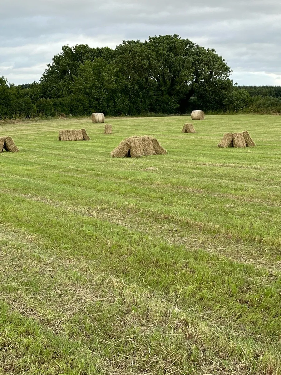 Hay/straw for sale in Co. Wexford for €6 on DoneDeal