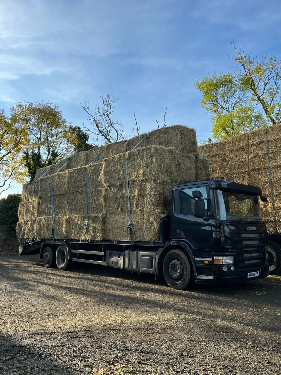 Rigid Lorry loads of Hay Delivered North and South - Image 2
