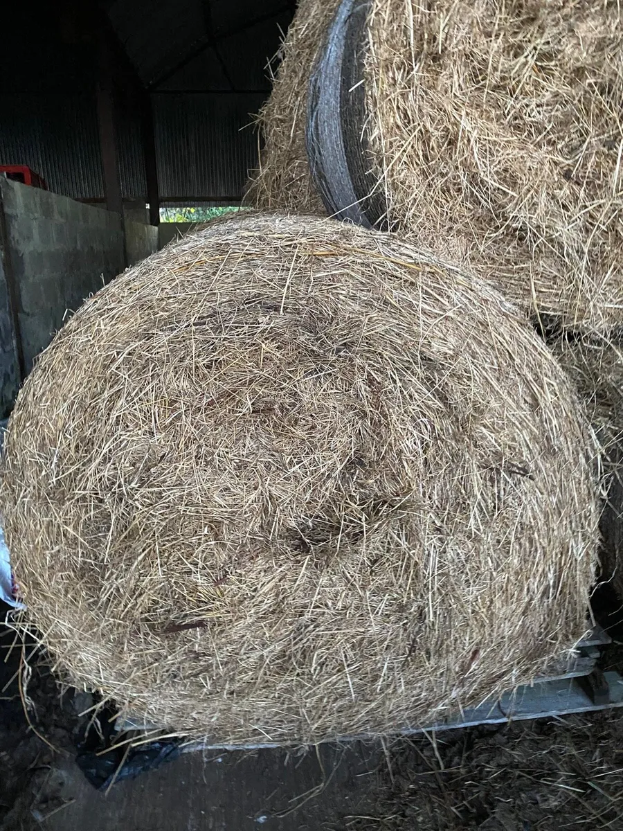 Hay for sale in Co. Cavan for €35 on DoneDeal