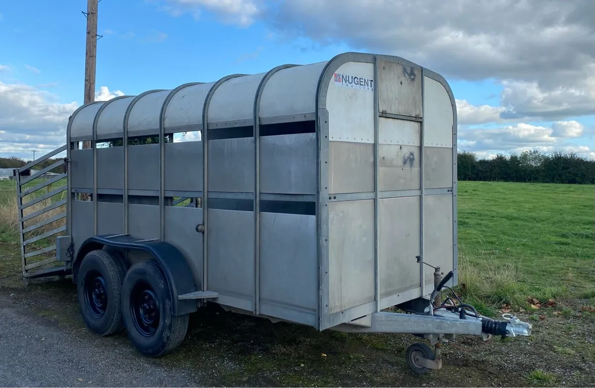 Nugent 12 x 6 Trailer - Image 1