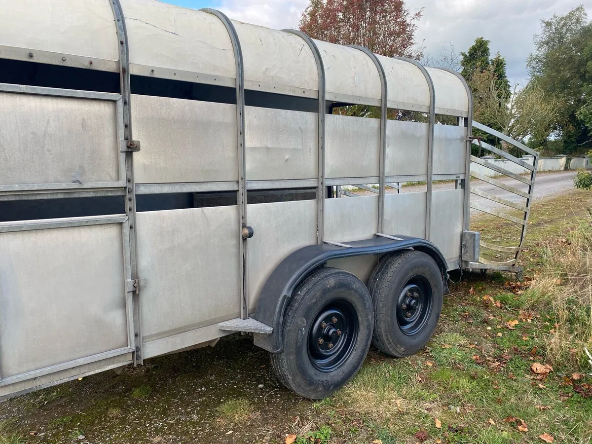 Nugent 12 x 6 Trailer - Image 4