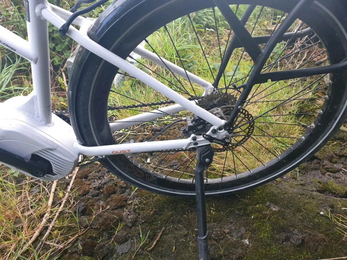 ebike - Image 3