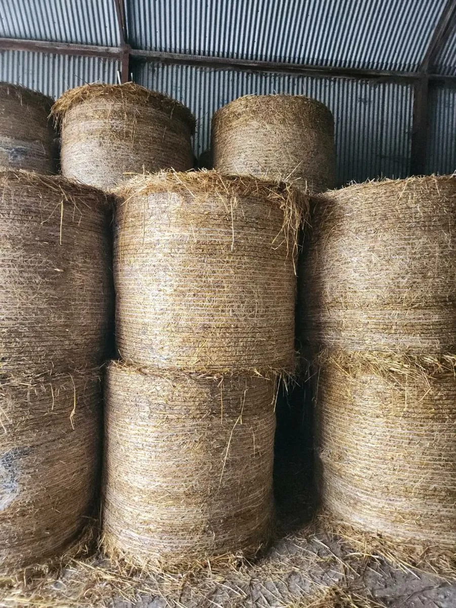 Oaten straw for sale in Co. Kildare for €25 on DoneDeal
