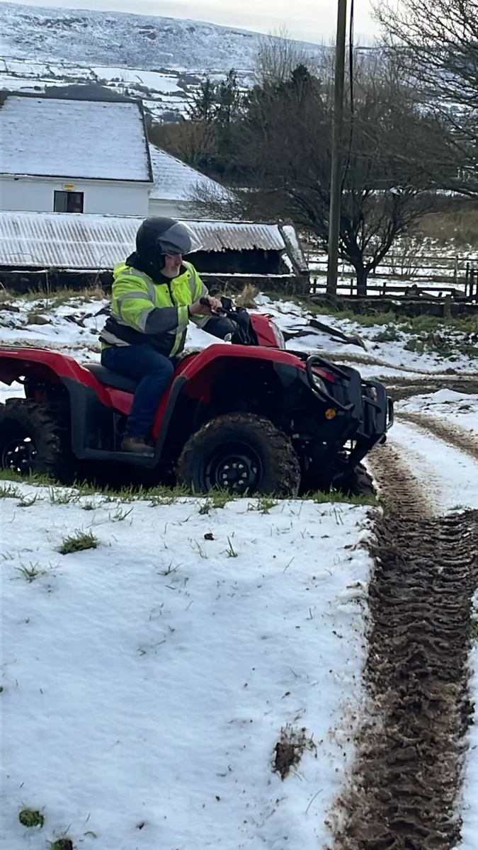 Quad Training - Image 2