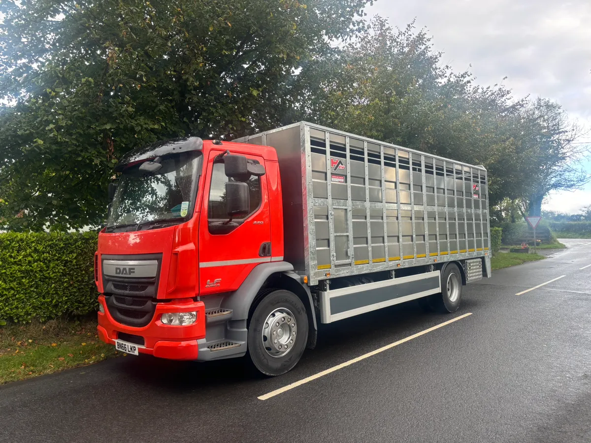 Daf cattle lorry - Image 1