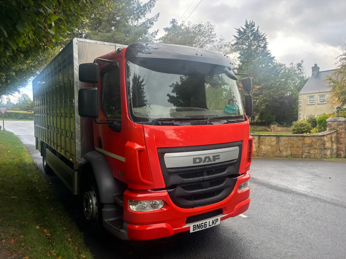 Daf cattle lorry - Image 2