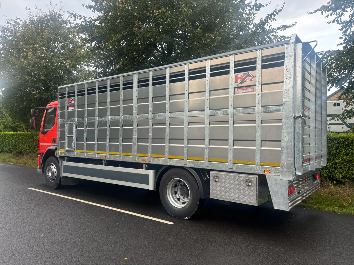 Daf cattle lorry - Image 3