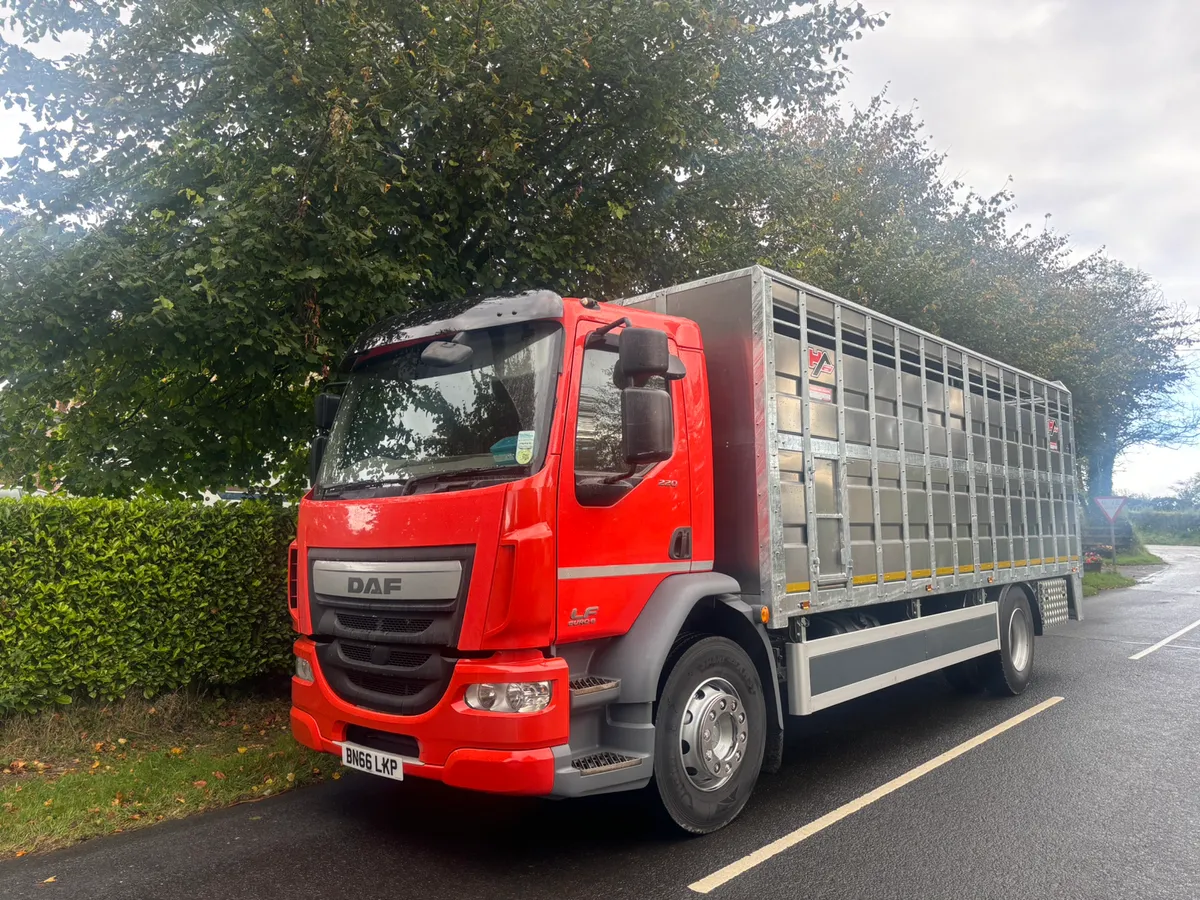 Daf cattle lorry - Image 4