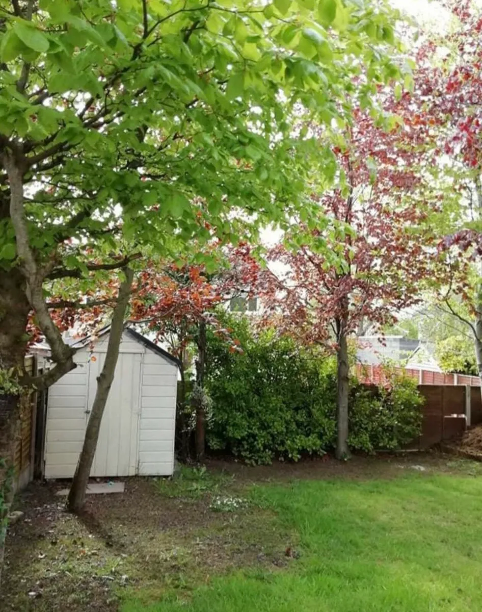 Tree surgeon for sale in Co. for €69 on DoneDeal