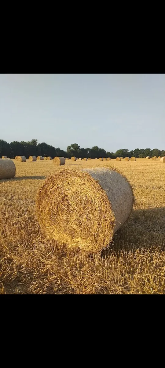 Barley straw for sale in Co. Kildare for €1,234 on DoneDeal