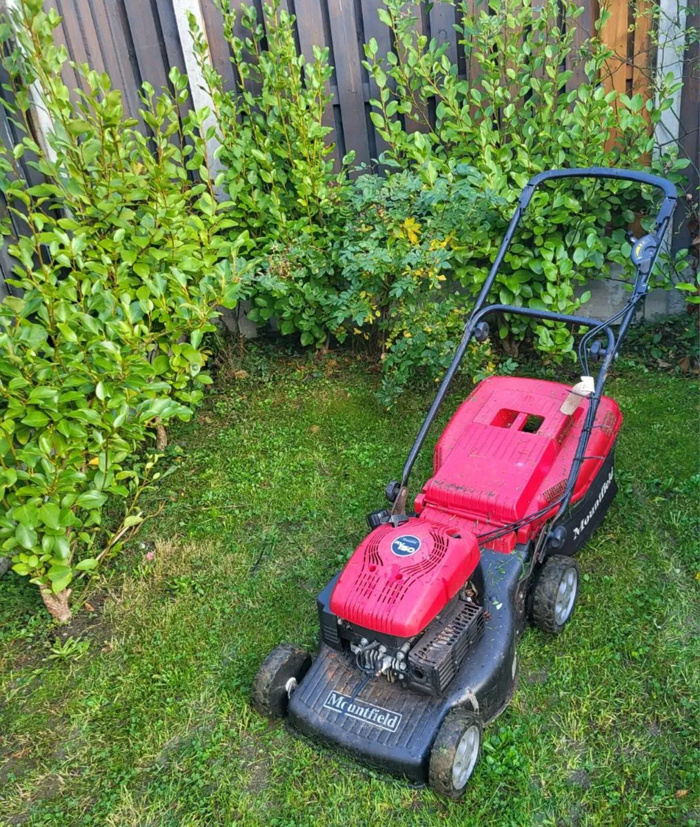 MOUNTFIELD HP470 Petrol lawnmower working perfect for sale in Co. Dublin for 100 on DoneDeal