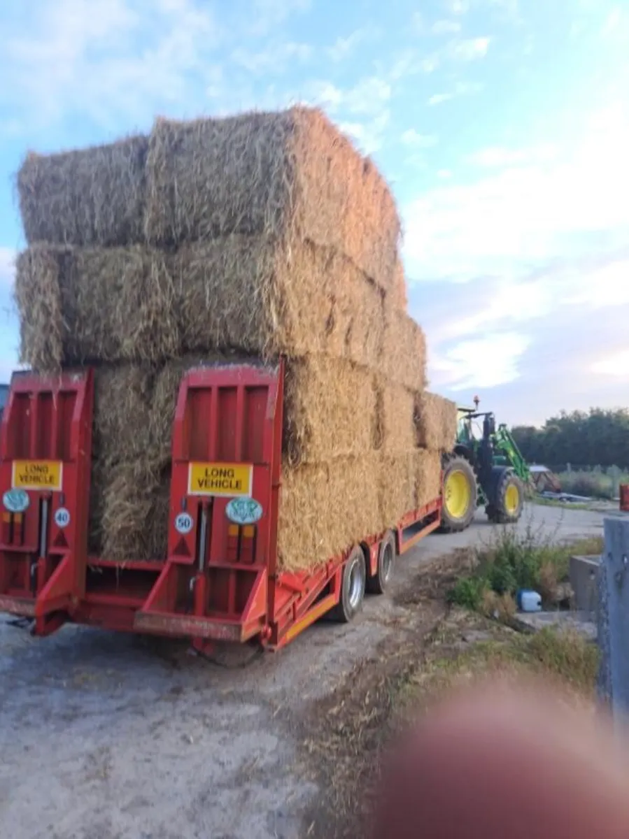 Straw for sale in Co. Mayo for €1,234 on DoneDeal