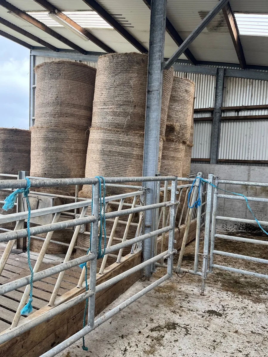 Hay Haylage and silage for sale in Co. Clare for €40 on DoneDeal