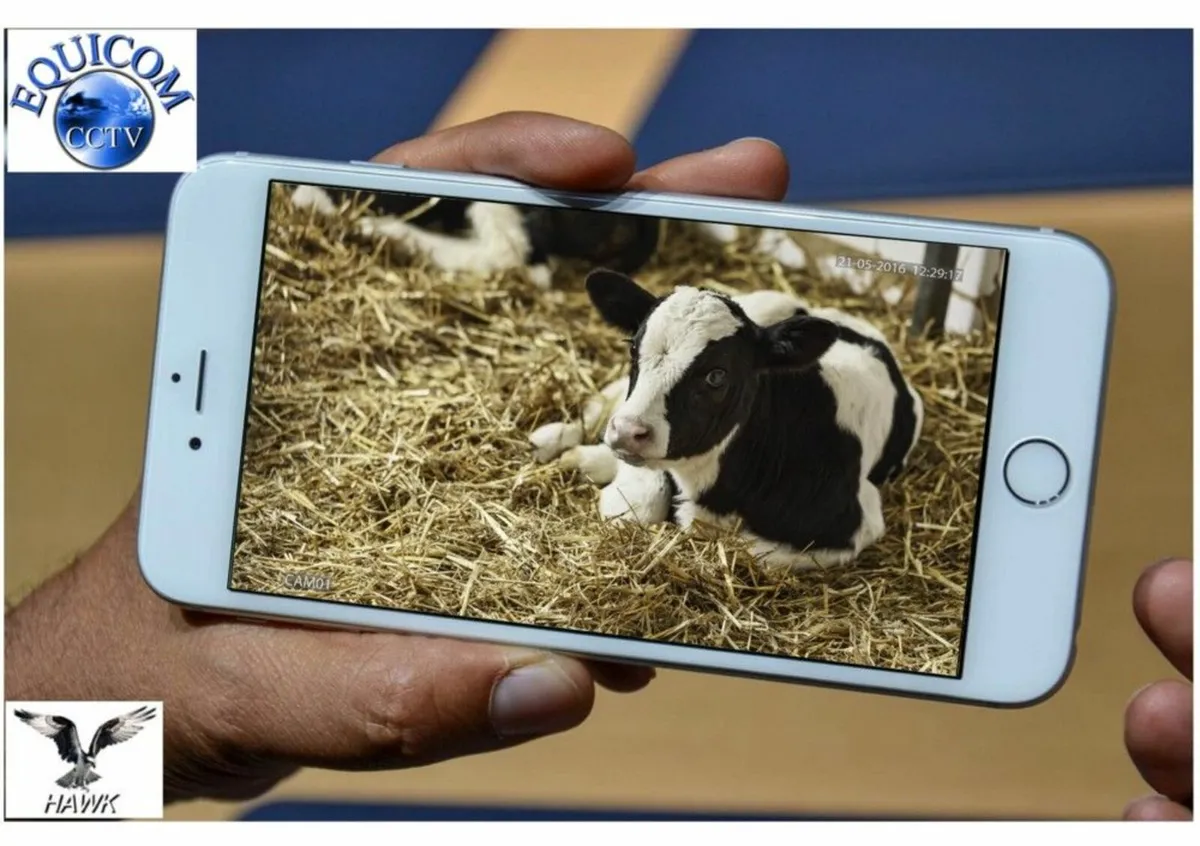 Calving Camera