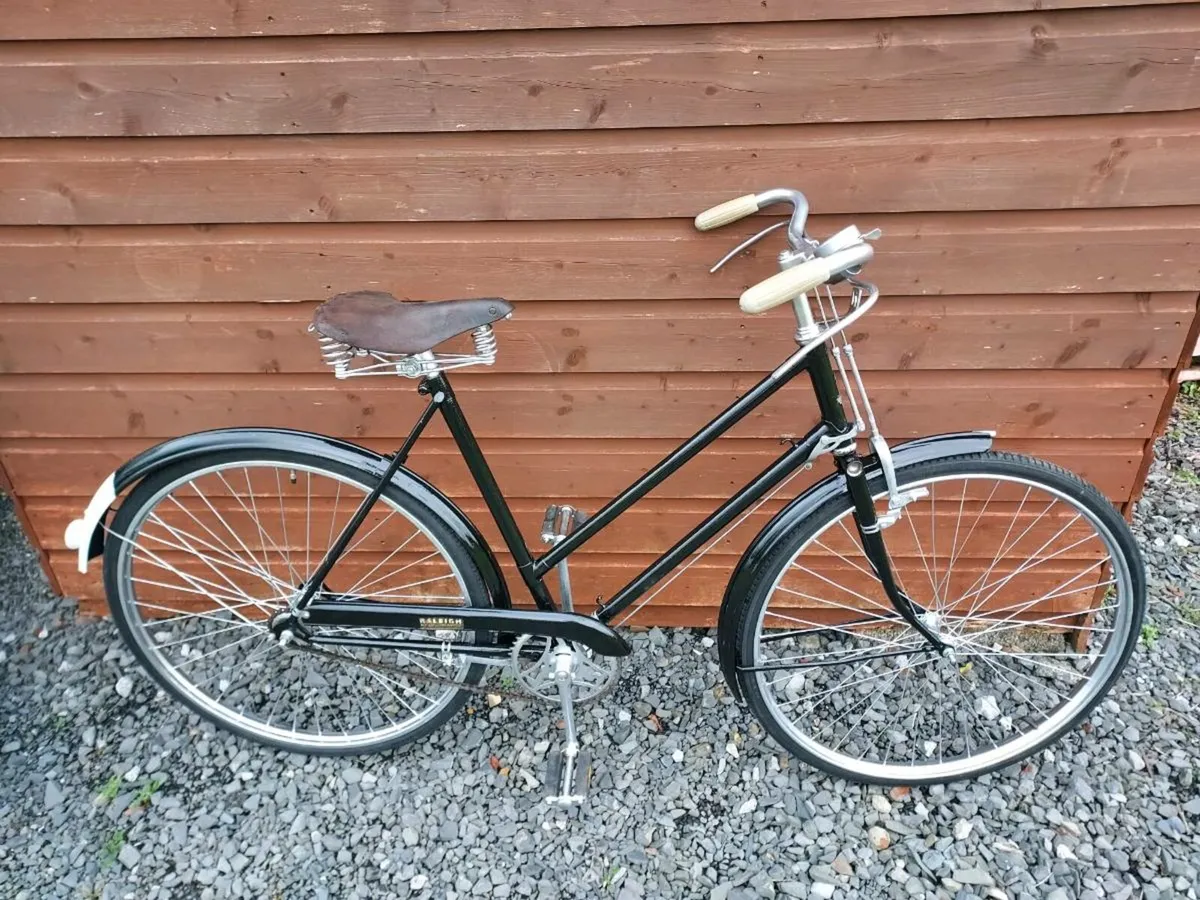 Raleigh High Nelly for sale in Co. Galway for 230 on DoneDeal