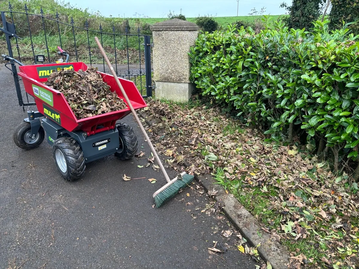 Mini Dumper MULE Electric &Hydraulic Tipper NEW - Image 1
