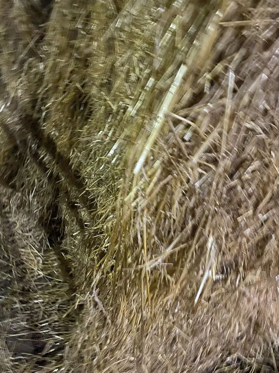 Straw for sale in Co. Mayo for €1,234 on DoneDeal