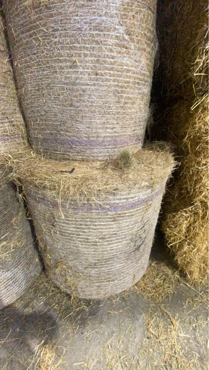 Hay and straw for sale in Co. Donegal for €123,456 on DoneDeal