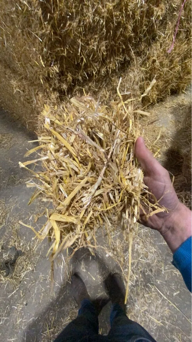 Hay and straw for sale in Co. Donegal for €123,456 on DoneDeal