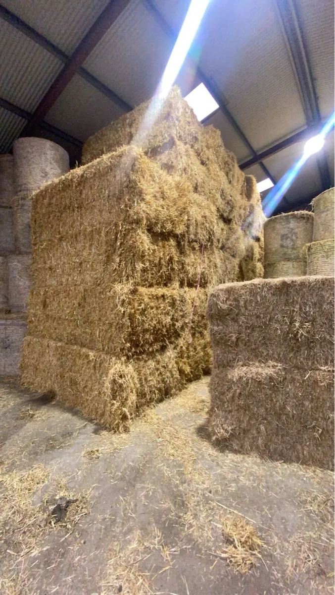 Hay and straw for sale in Co. Donegal for €123,456 on DoneDeal
