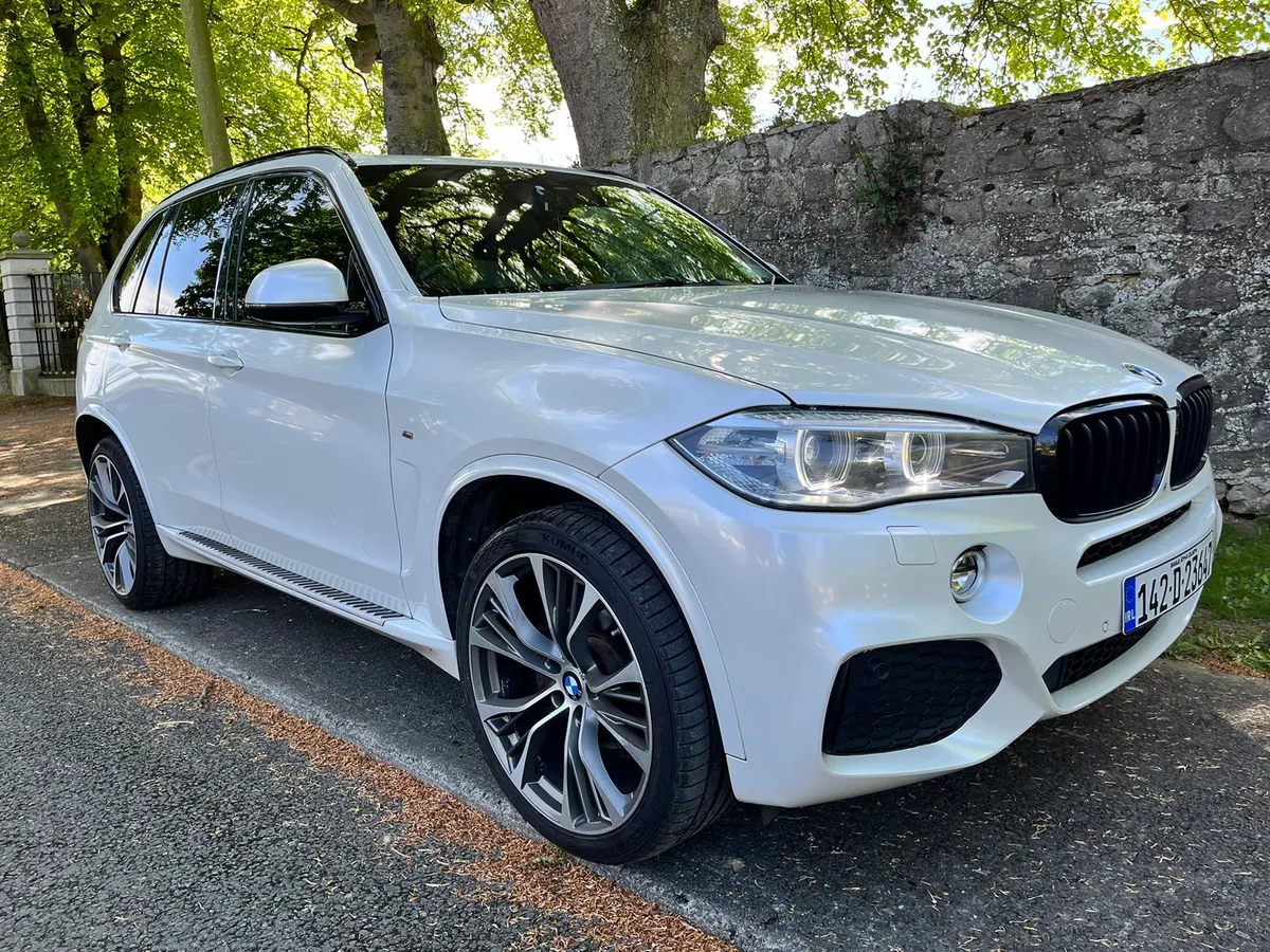 BMW X5 2.0D M-SPORT SDRIVE 318BHP - Image 2