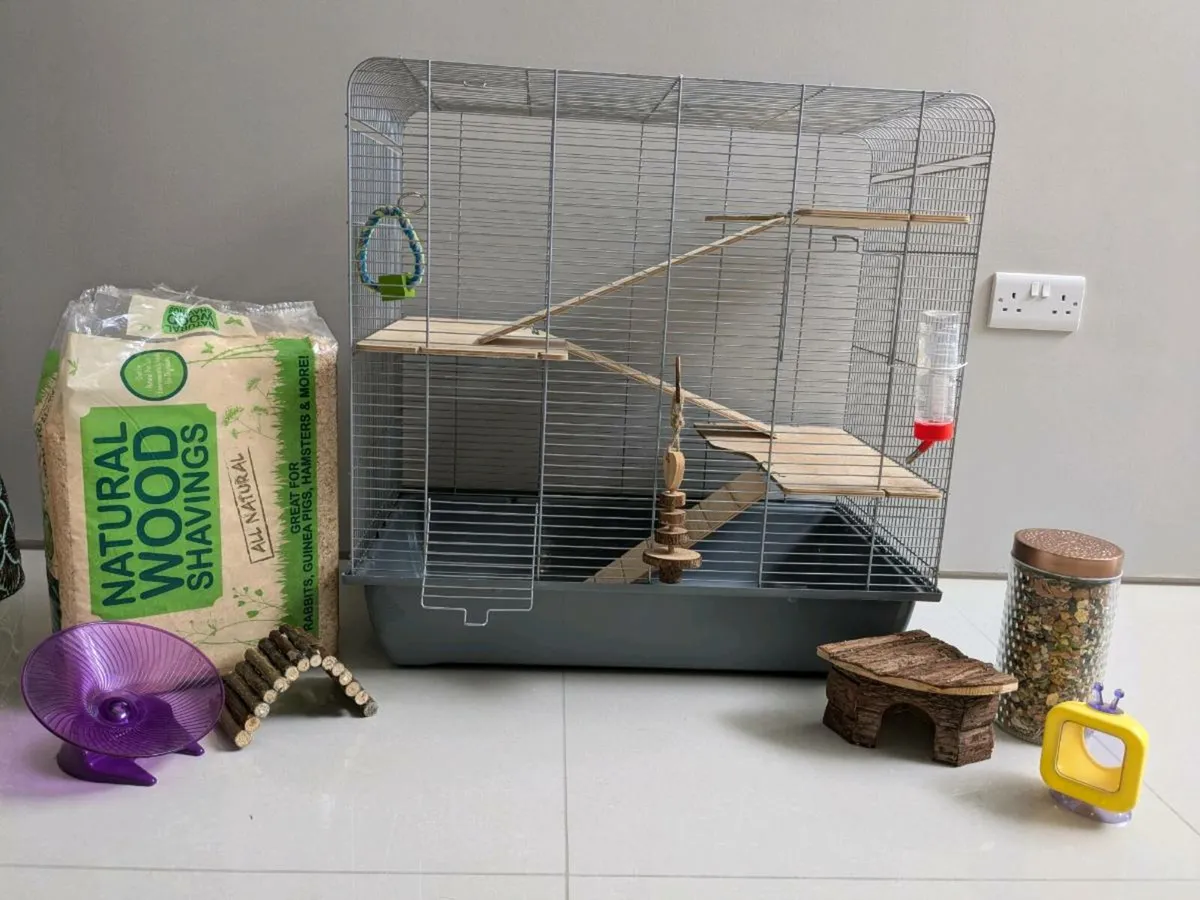 Hamster accessories for sale hot sale