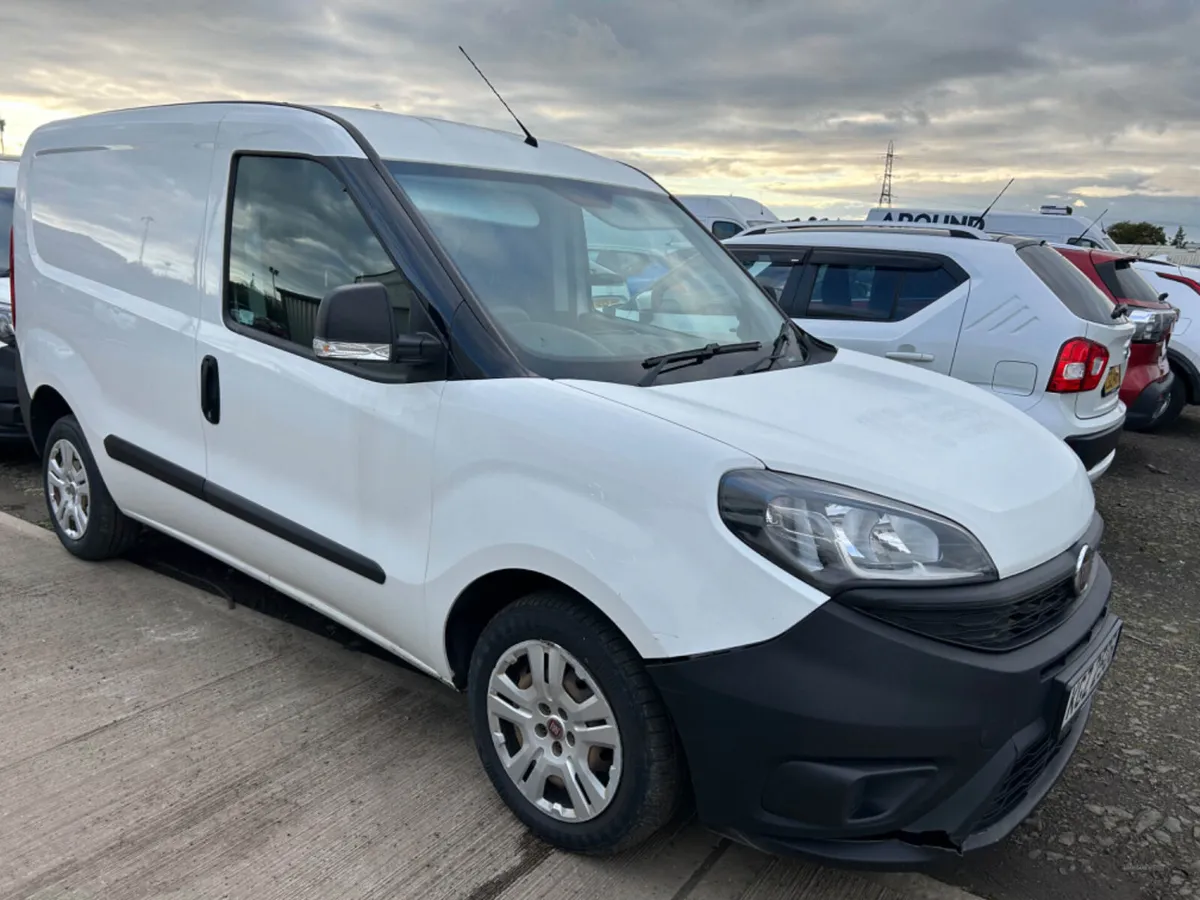 Jan 2019 Fiat Doblo Cargo 1.3 Multijet 16V 95 Van