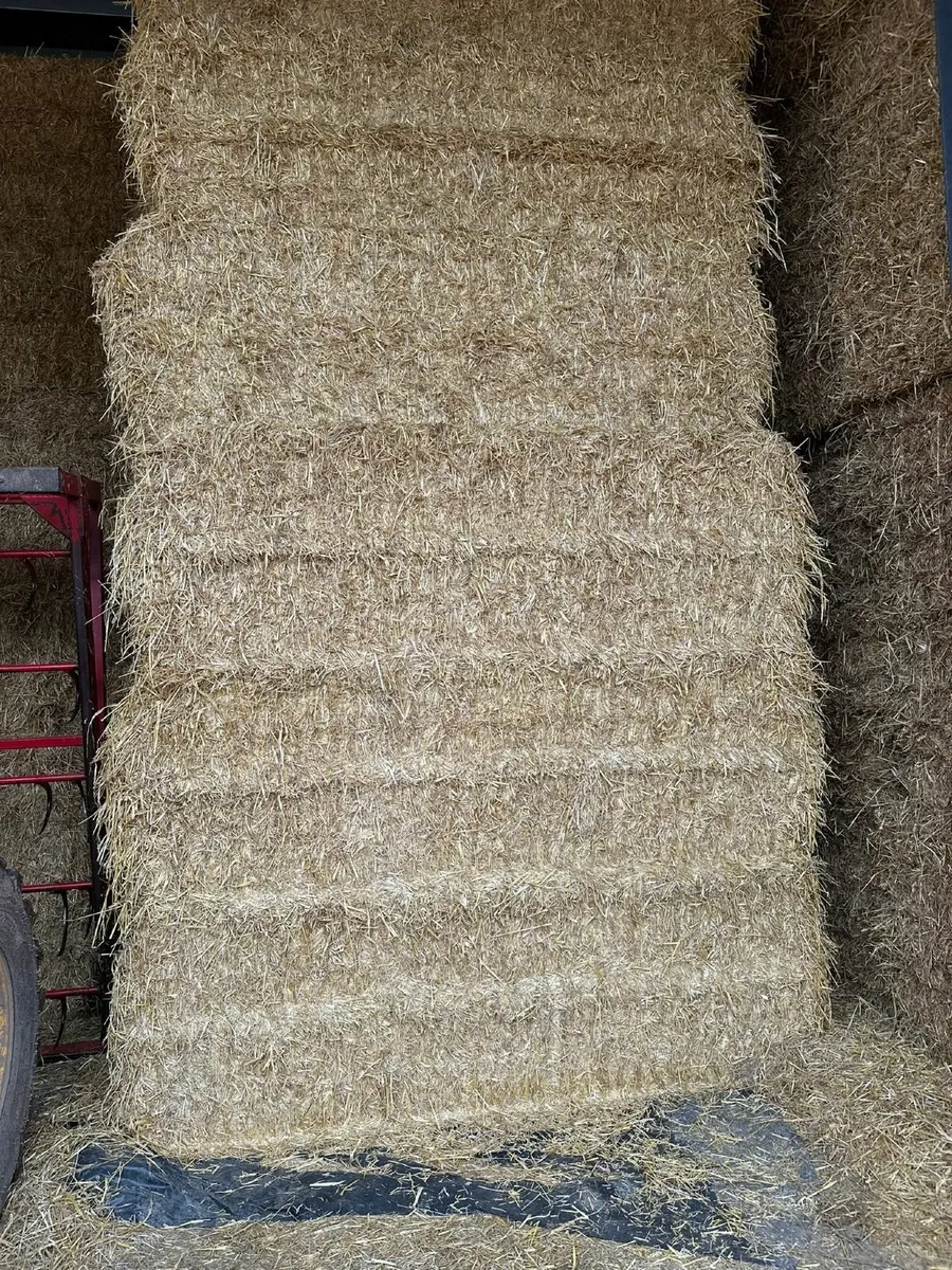 Hay - Image 2