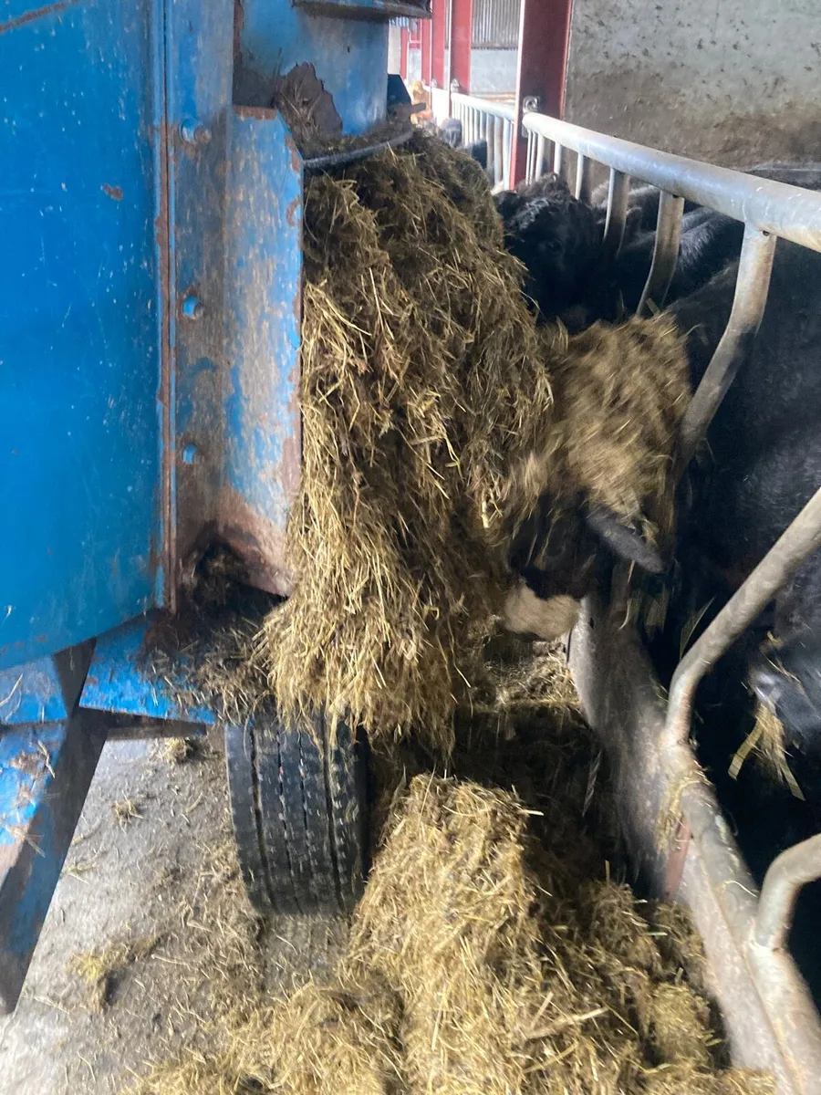 feed all diet feeder - Image 2