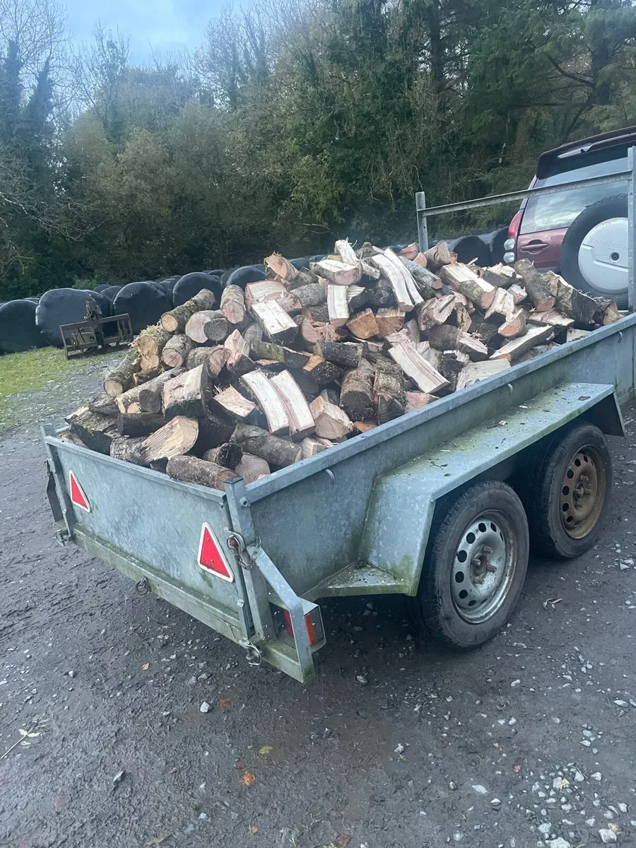 Loads of 8x5Hardwood Timber - Image 2