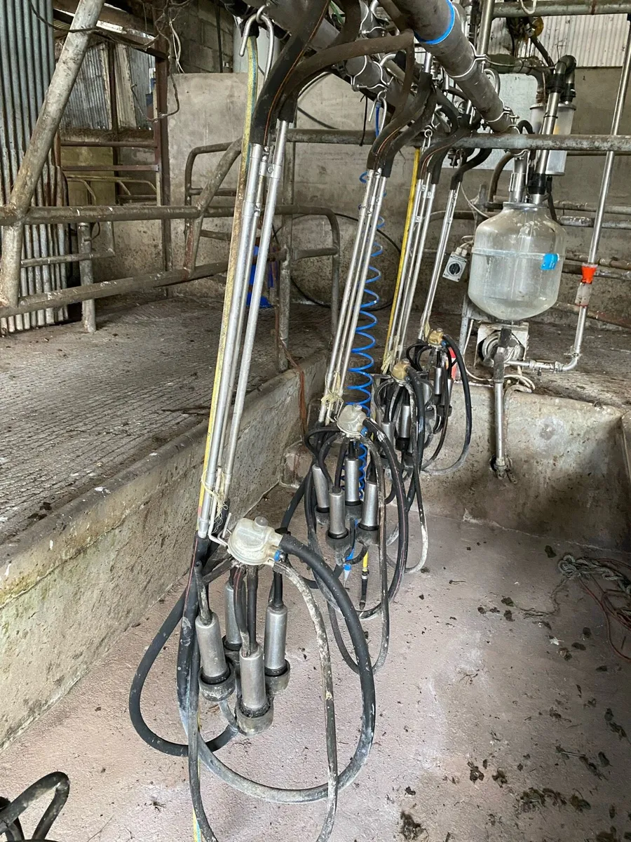 Milking parlour - Image 3