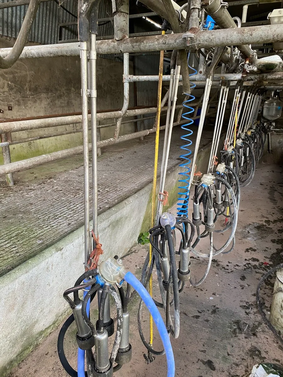 Milking parlour - Image 4