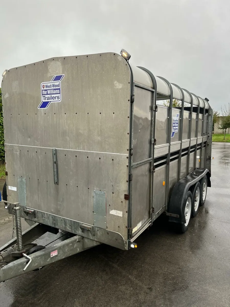 Used Ifor Williams Trailer for Sale - Image 4