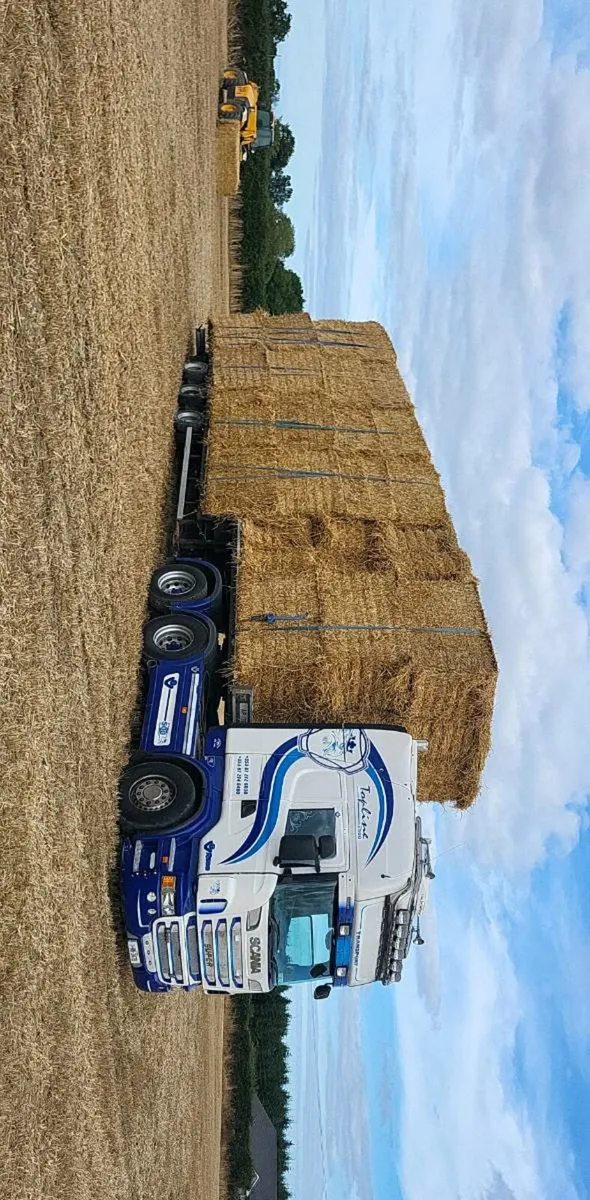 8/4/3 Barley wheaten and oaten straw - Image 4