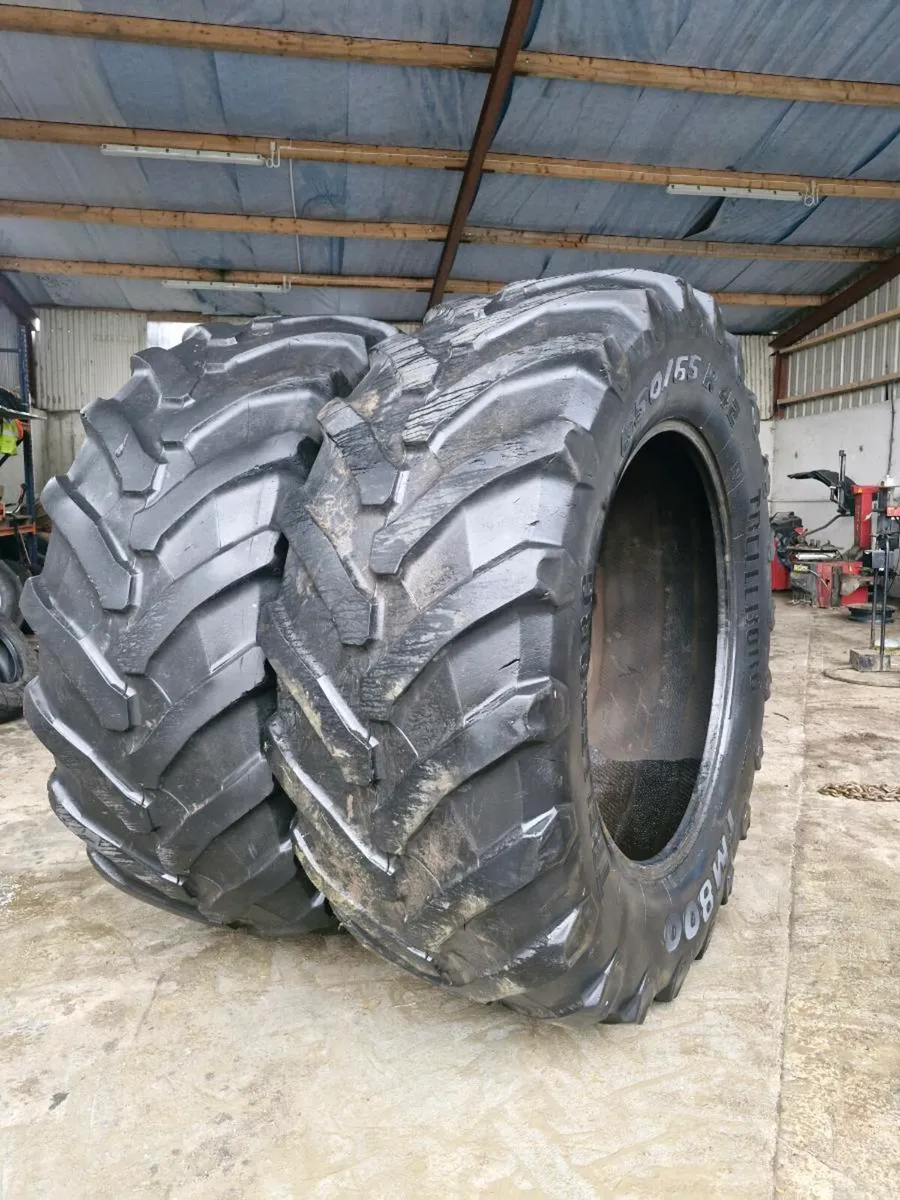 650 65 42 trelleborg 30% - Image 1