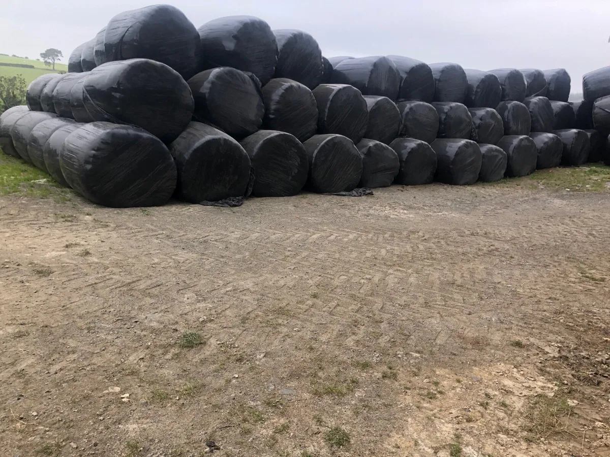Silage bales for sale in Co. Wicklow for €0 on DoneDeal