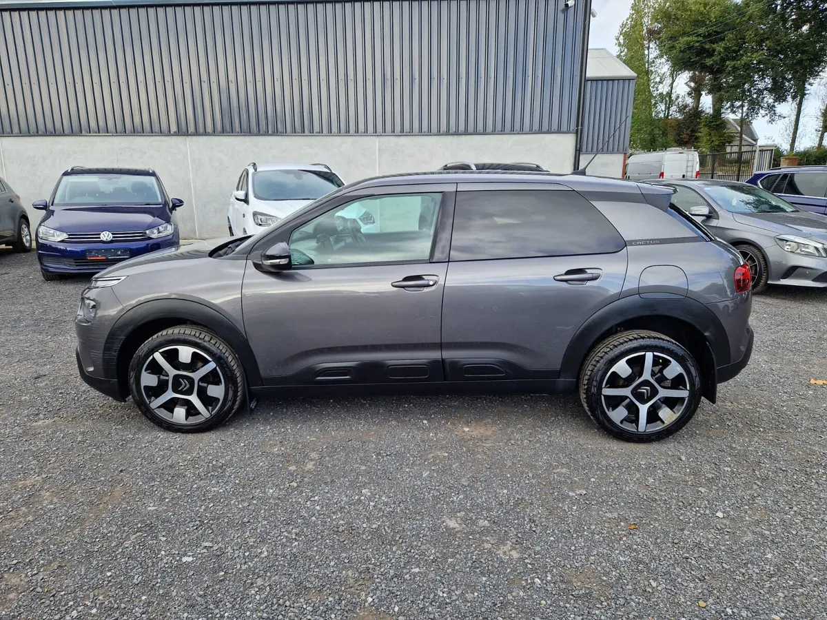 Citroen C4 Cactus - Image 1