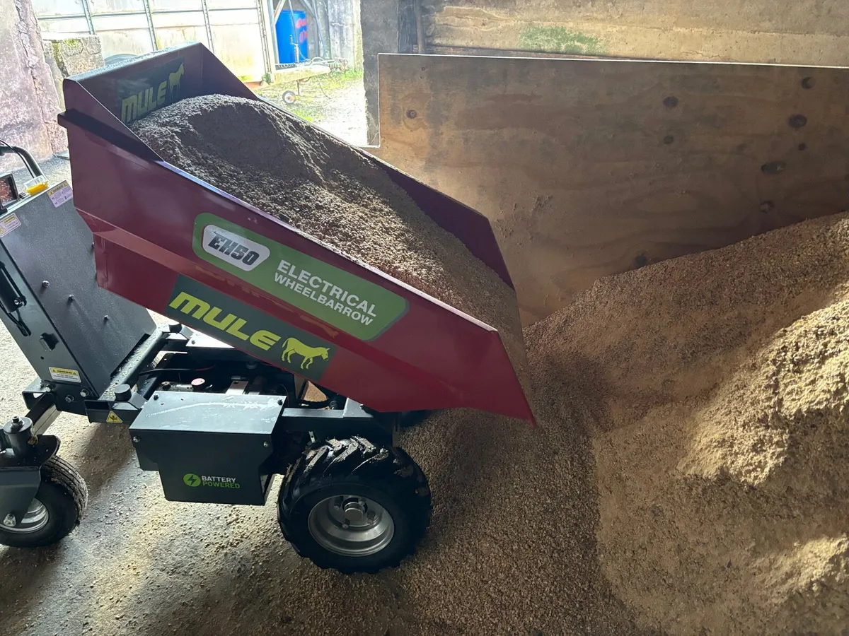 Mini Dumper MULE Electric &Hydraulic Tipper NEW - Image 4